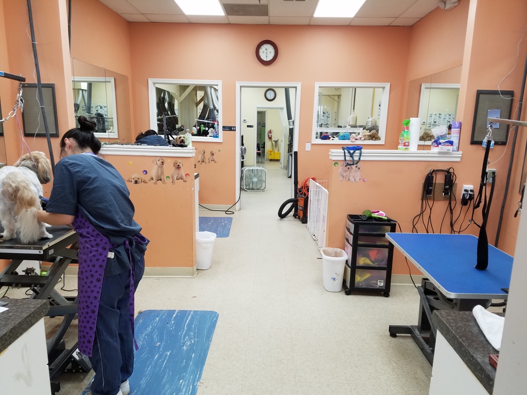 Gallery – Pretty Paws Dog Grooming